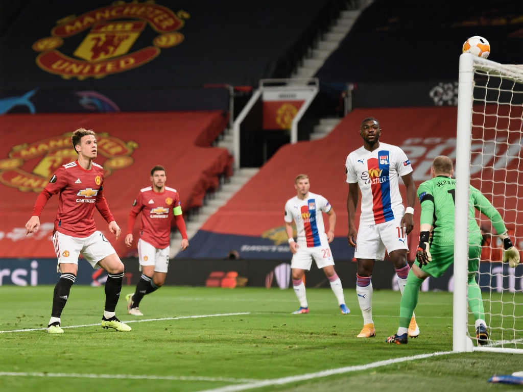 向世界展示 向世界展示